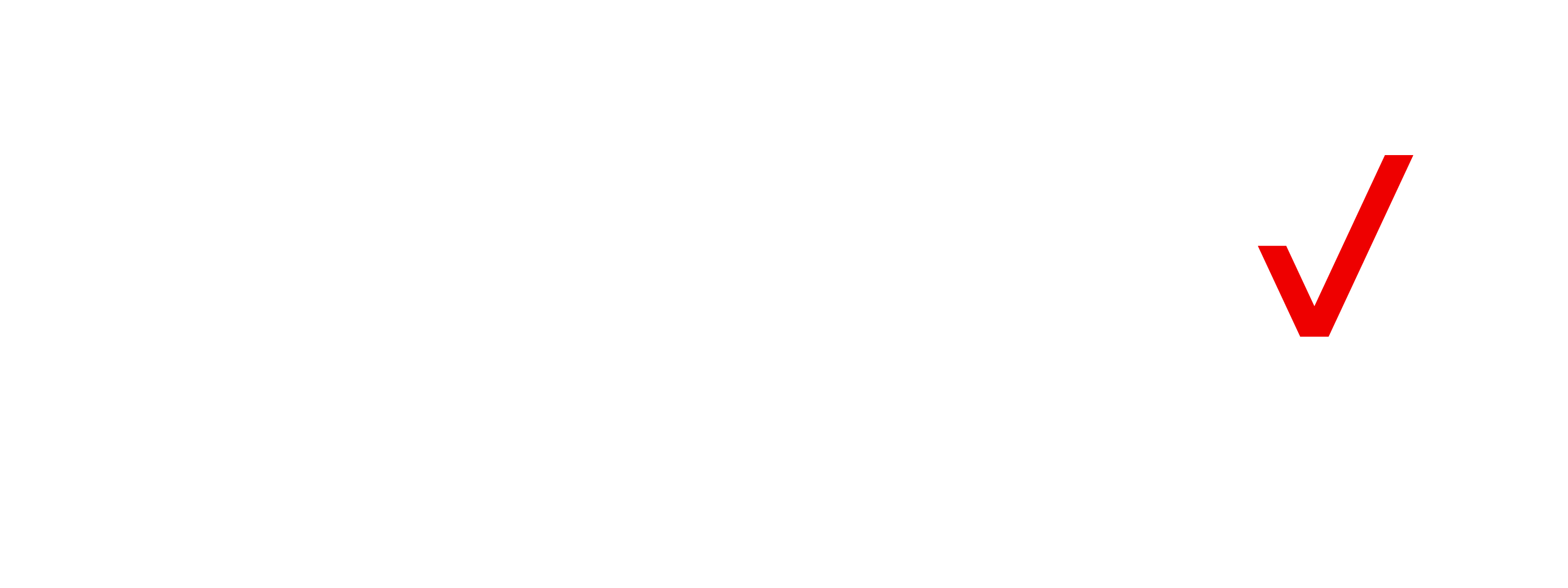 verizon-partnet-logo
